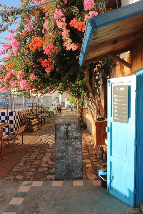 Single Fin Beach House Taghazout Exterior photo